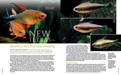 AMAZONAS Magazine “KEEPING CHARACINS” Inside Look!