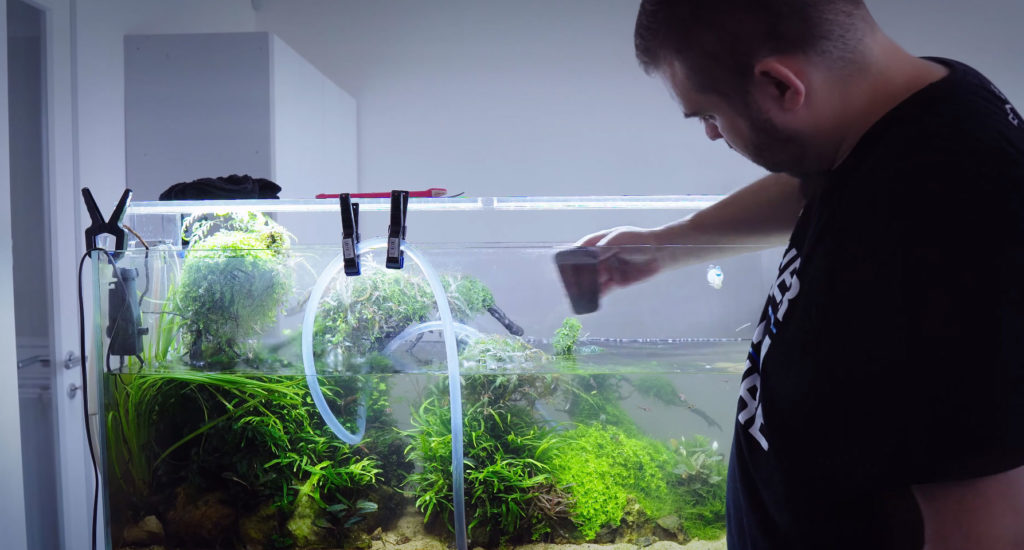 Professional aquarist József Nagy (Joseph), a maintenance expert for Green Aqua in Hungary, tends to an approximately 60 gallon (240 L) planted aquarium installation in an office setting.