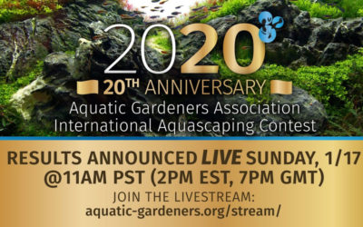 AGA to Livestream 20th Anniversary Aquascaping Contest Results