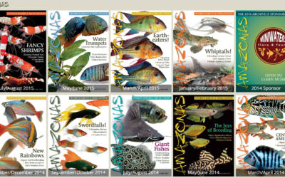 Did You Know? Digitally Search AMAZONAS Magazine