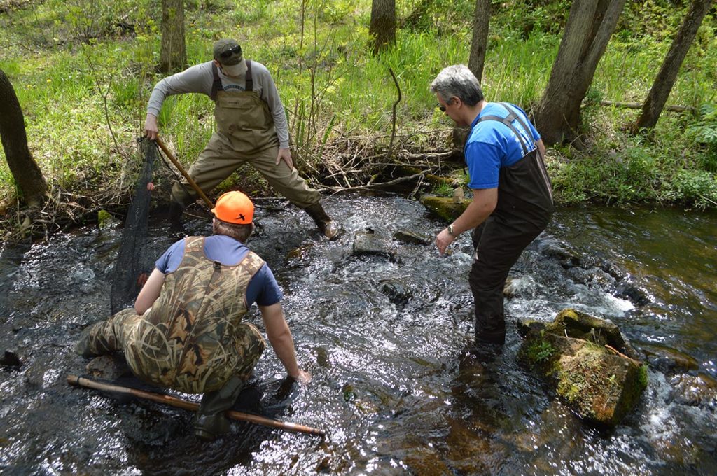 The group wasted no time getting to fishing. Again, some aquarists used seines to block the creek, while a third person would shuffle downstream towards it, corralling fish in the waiting net.