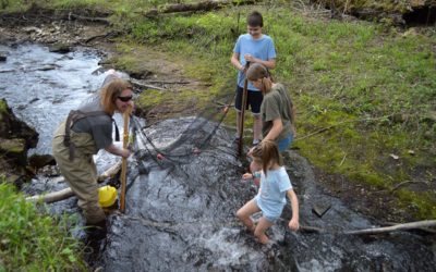 Friday Photospread: Minnesota Darter Hunt, 2021