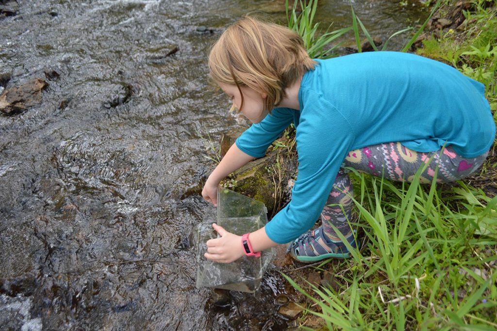 After selections had been made, Audrey helped release the extra fishes back into the creek.