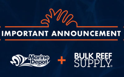 eCommerce retailer, Bulk Reef Supply, has acquired Marine Depot