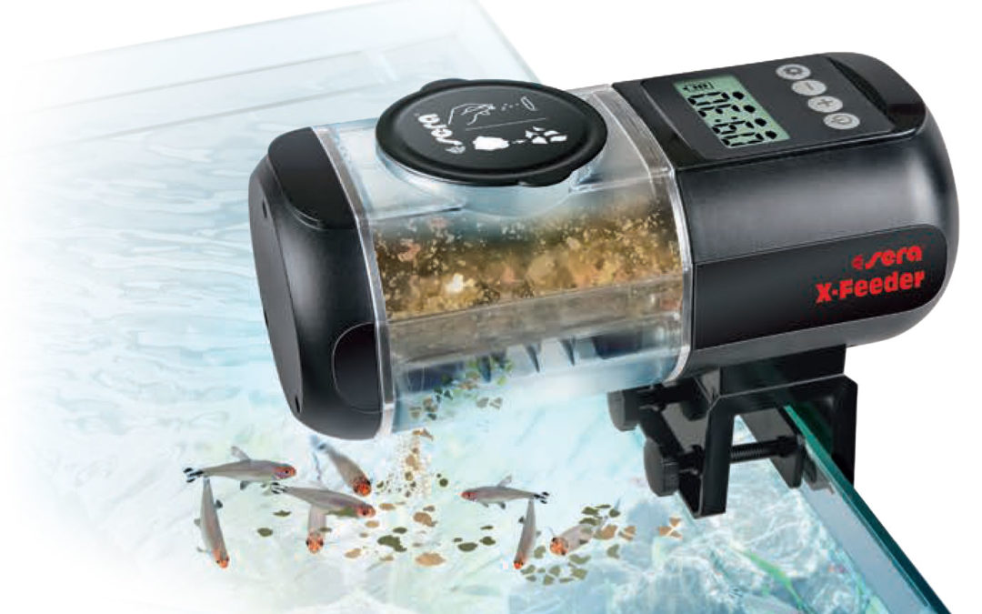 VIDEO: sera’s New X-Feeder Automatic Fish Feeder