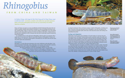 AMAZONAS Magazine “GUDGEONS & GOBIES” Inside Look!