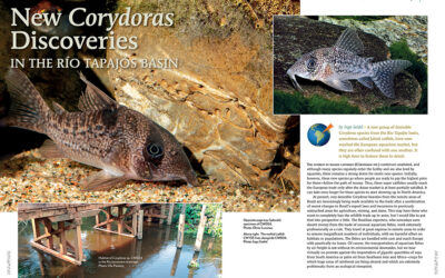 AMAZONAS Magazine “KEEN ON CORYS” Inside Look!