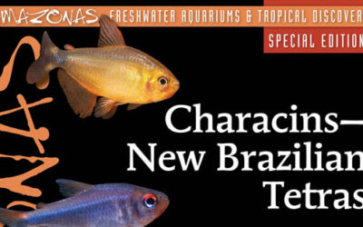 CHARACINS: the First-Ever AMAZONAS Magazine Special Edition