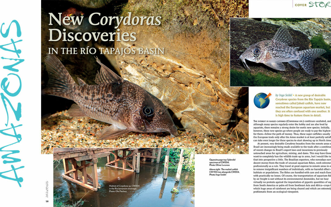 VIDEO Inside Look: AMAZONAS Magazine “KEEN ON CORYS”