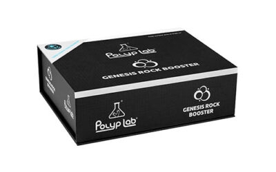 Genesis Rock Booster From Polyplab