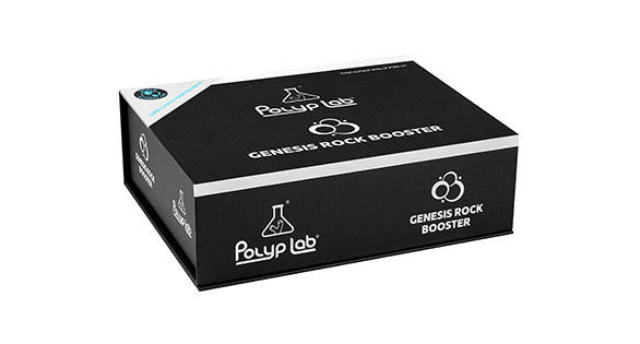 Genesis Rock Booster From Polyplab