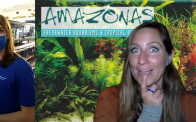 VIDEOS: AMAZONAS Interviews The Wet Spot Tropical Fish