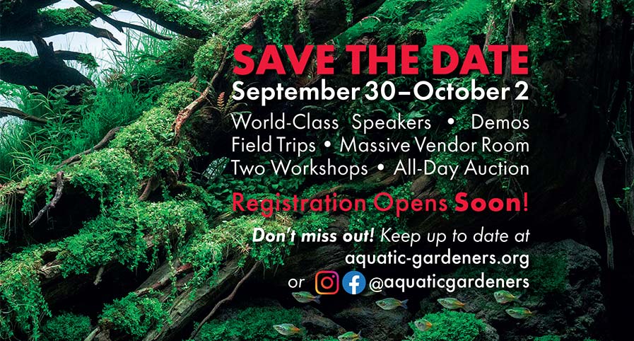 Chicago to host 2022 Aquatic Gardeners Association Convention