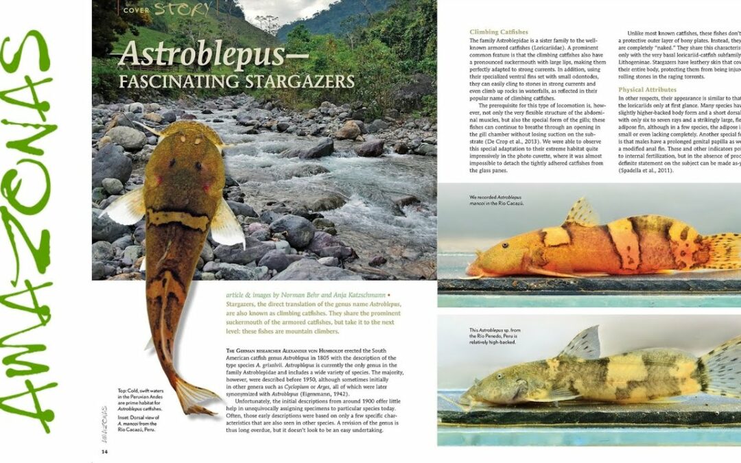 VIDEO Inside Look: AMAZONAS Magazine “STELLAR STARGAZERS”