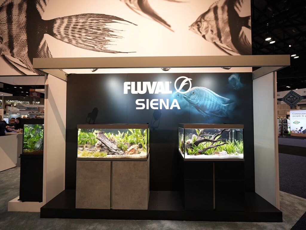 Fluval continues to showcase modern takes on aquariums featuring sleek, attractive design.