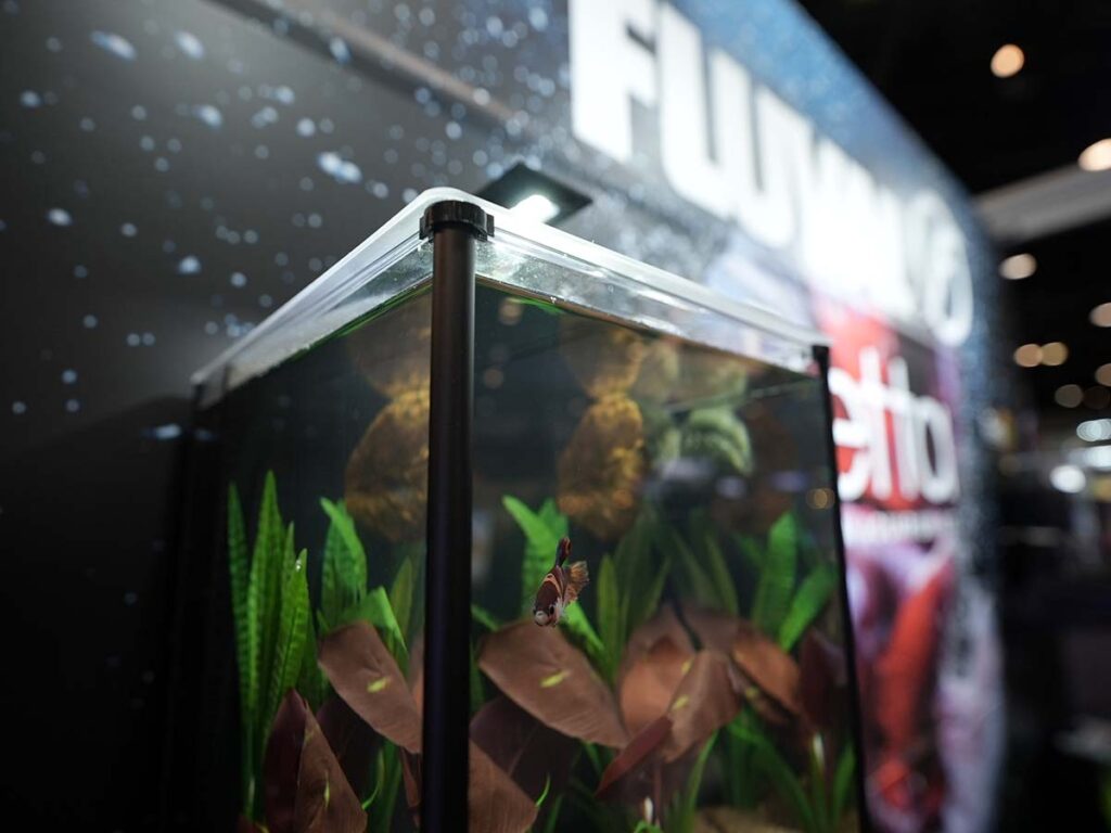 A close-up look at Fluval's Premium Betta Aquarium Kit in action.