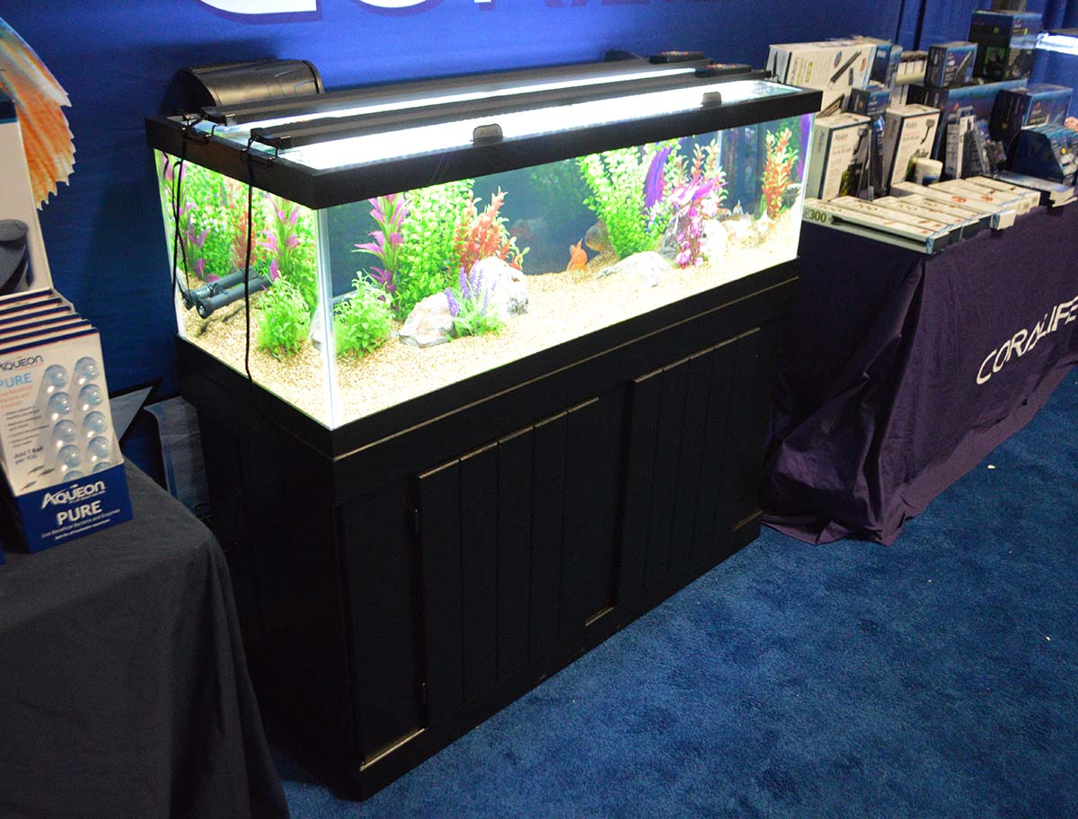 Aqueon's New Aquarium Model: The 60-gallon Breeder - AS Magazine