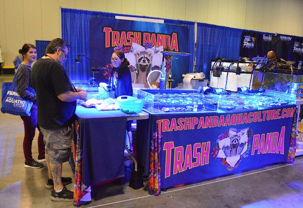 There was no shortage of corals and other reef life to view and purchase at Trash Panda Aquaculture.