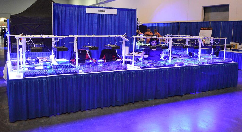 Frost Corals was on hand for the show with their typical massive selection of corals and inverts.