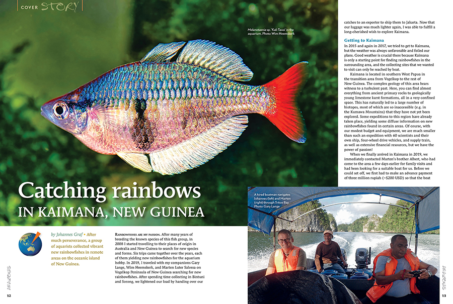 AMAZONAS Magazine “RAINBOWFISHES” Inside Look!