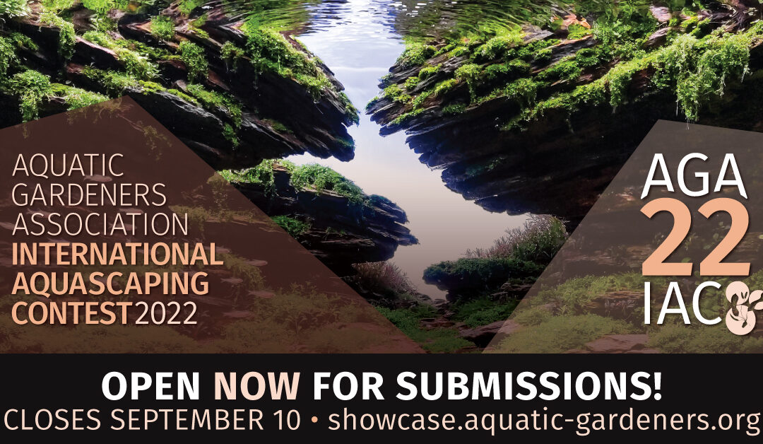 AGA 2022 International Aquascaping Contest Open For Entries