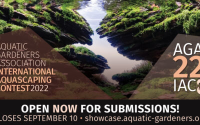 AGA 2022 International Aquascaping Contest Open For Entries