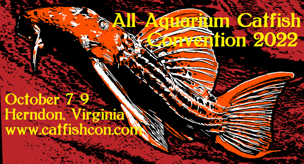 The 2022 All-Aquarium Catfish Convention will be held in Herndon, Virginia, October 7th - 9th.