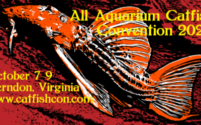 See you at the 2022 All-Aquarium Catfish Convention?