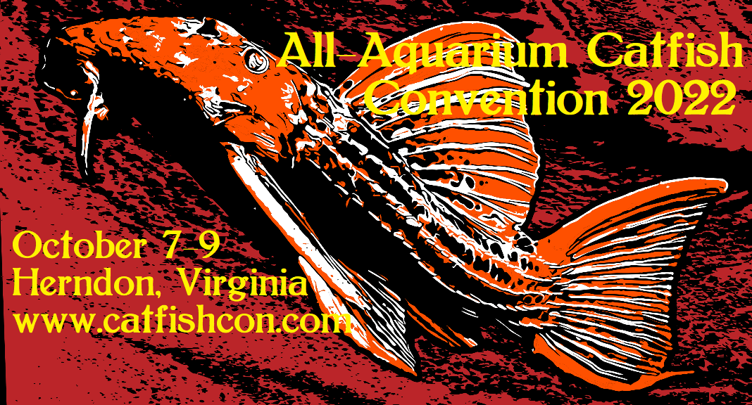 See you at the 2022 All-Aquarium Catfish Convention?