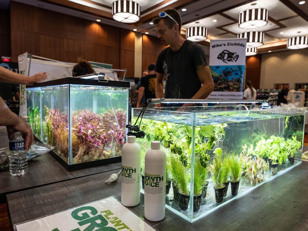 If your fish tanks were in need of lush, healthy greenery, Dustin’s Fish Tanks was the booth to visit.