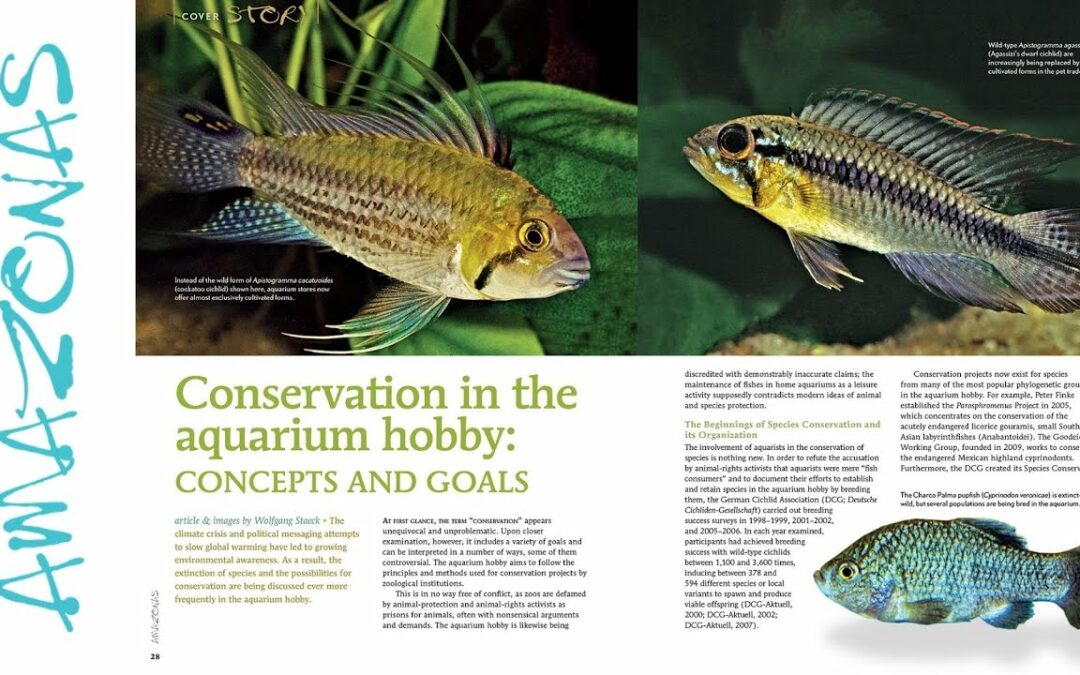 VIDEO Inside Look: AMAZONAS Magazine “CONSERVATION & AQUARIUMS”