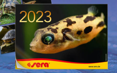 Get The New sera 2023 Calendar