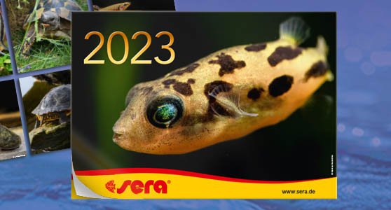 Get The New sera 2023 Calendar