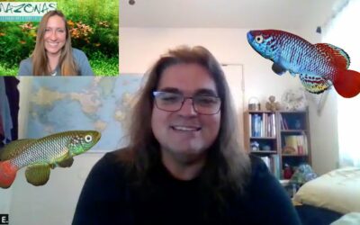 VIDEO: Amazonas Author Interview with Steve Ehrlich