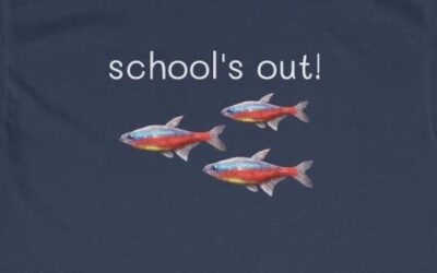 Wild Fish Tanks: T-Shirt Weather Is Here!