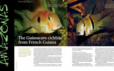 VIDEO Inside Look: AMAZONAS Magazine “FISHES OF FRENCH GUIANA”