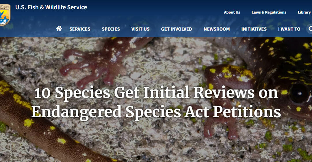 U.S. Fish and Wildlife Service Completes Initial Reviews on Endangered Species Act Petitions for 10 species