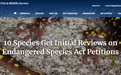 U.S. Fish and Wildlife Service Completes Initial Reviews on Endangered Species Act Petitions for 10 species