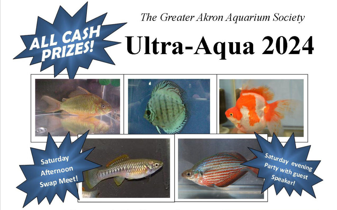GAAS to host Ultra-Aqua 2024