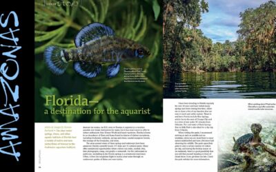 VIDEO Inside Look: AMAZONAS Magazine “FISHES AND FLORA From the Sunshine State”