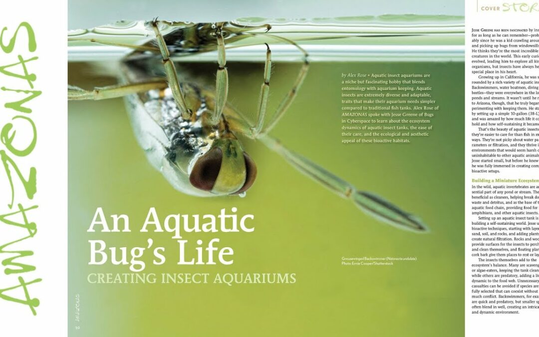 VIDEO Inside Look: AMAZONAS Magazine “AQUATIC ARTHROPODS”