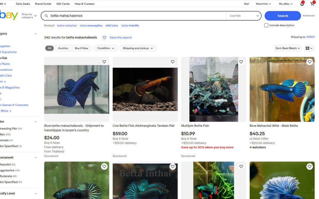 eBay Bans Nearly All Live Animal Sales on Platform