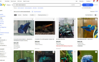 eBay Bans Nearly All Live Animal Sales on Platform